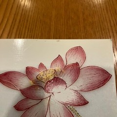 Bauer Collection Ceramics Exhibition Catalog Collectors Rare Book