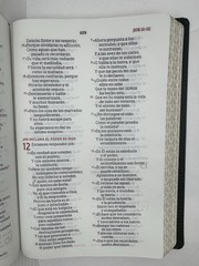 NBLA, Biblia para la Lectura Pública, Versificada, Letra Grande, Piel de Cabra,