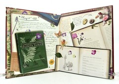 Lot 4 FAIRYOPOLIS Books Journal, Return, Magical Doors & Secret Garden HB VGC