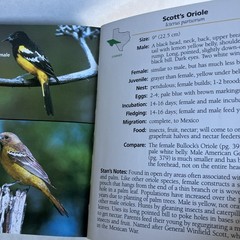 Birds of Texas Field Guide by Stan Tekiela – Nice Condition 2004 Color Travel SZ