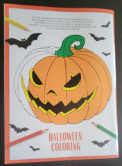 Halloween Coloring Adult Special Edition 32 Pages of Spooky Images