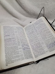 Holy Bible Concordance Red Letter India Paper Morocco Leather London Undated