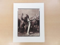 Man Ray “125 Great Moments of Harper’s Bazaar” 1993 12.2 in. x 17.6 in
