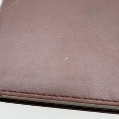 Holy Bible Mosaic New Living Translation NLT Devotional Brown Leatherette