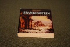 Frankenstein by Mary Shelley 1983 PB 37th Print Signet Classic