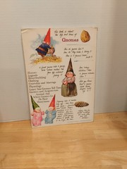 Gnomes by Wil Huygen Illustrator Rien Poortvliet HC DJ Classic Book 1977 VG
