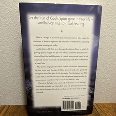 Michael Youssef The Spirituality That Heals God’s Provision 2003 Hardcover