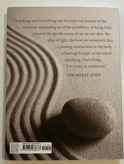Jon Kabat-Zinn Books Wherever You Go There You Are & Mindfulness for Beginners