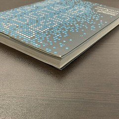 BECOMING A DIGITAL DESIGNER: A GUIDE TO CAREERS IN WEB, By Steven H. & David W.
