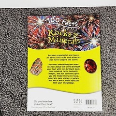 100 Facts Large Picture Book Lot 4 Miles Kelly Ages 7-11 Grades 1-5 Homeschool