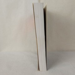 The Stephen King Companion soft cover book 1989