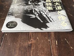 DAIDO MORIYAMA SPECIAL ISSUE 2016 VOL.818 BRUTUS MAGAZINE BOOK INCLUDE BOOKLET