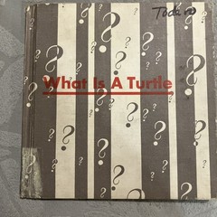 What is a Turtle [Hardcover] Gene Darby and Lucy and John Hawkinson