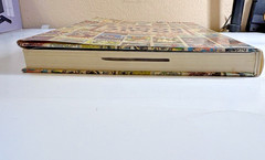Great American Comic Books by Ron Goulart 2001 HCDJ 344 Pages Very Large Book
