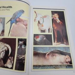 Animal Health Livestock and Pets 1984 Yearbook of Agriculture