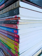 Kids Books Lot of 26, Scholastic, Popular and Others, Mixed School Ages Genres