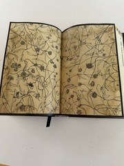 The Familiar, Volume 1: One Rainy Day in May by Mark Z Danielewski 1st Edition