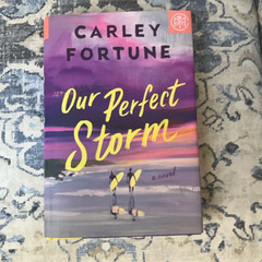 Our Perfect Storm Carley Fortune Hardcover Friends to Lovers Romance #1 NYT 2026