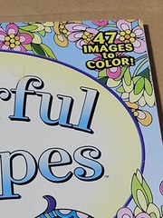 COLORFUL ESCAPES -A Bouquet of Color! Vol. 24 – Adult Coloring Book- 47 Pages