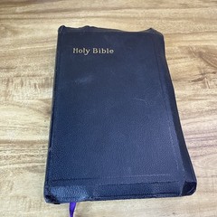 Holy Bible KJV – John C. Winston / International Series Self Pronouncing
