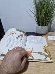 The Monkeys Whiskers: A Brazilian Folktale By Anne Rockwell 1971 Hardcover