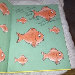 A Fish out of Water, Helen Palmer Seuss Beginner Series HC 1998 9-1/4″T