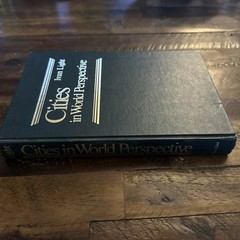 Vintage Cities In World Perspective Hardcover Book Ivan Light 1983