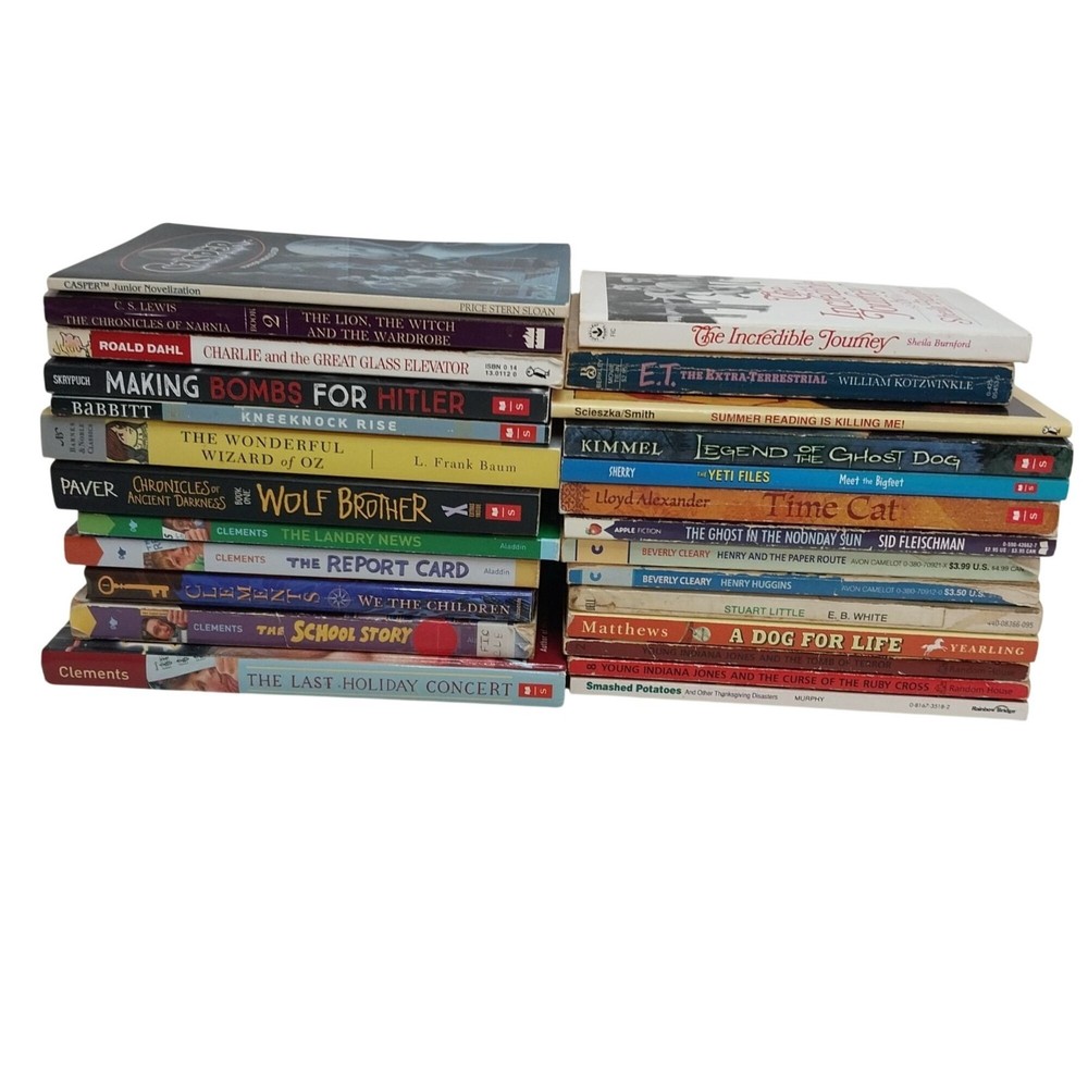 Early Chapter Books Boys Interest Lot of 26 Grade 3-6 Vintage & Modern