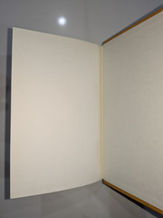 The Buchans Orebodies | 1981 GAC Special Paper 22 | Mining Geology Hardcover