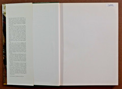 Michelangelo The Painter Hardcover 1964 Large Coffee Table 14×10 in. hardcover