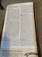 ESV Following Jesus Bible; TruTone, Br- 9781433545535, imitation leather, Bibles