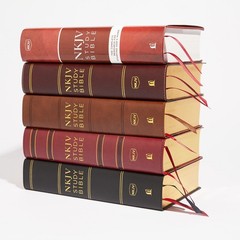 NKJV Study Bible, Premium Bonded Leather, Black, Thumb Indexed, Comfort Print…