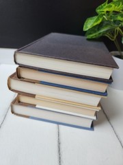 Brown Staging Books: Earthy Decor Objects, Real Hardbacks- Set of 5