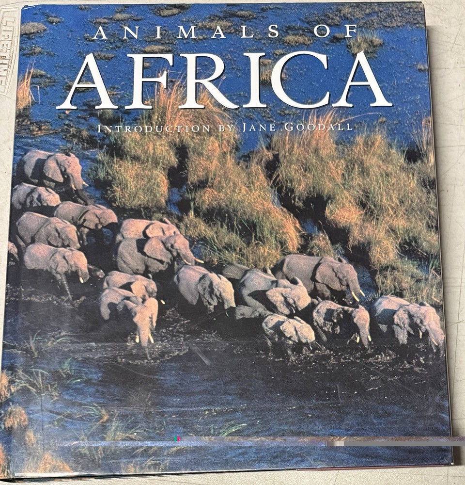 Animals of Africa by Thomas Allen