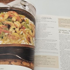 The Southern Living Cookbook 1250 Recipes For Everyday Cooking 2011 Cook Book HC