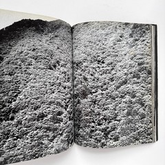 Daido Moriyama – Hikari to Kage (Light and Shadow) First Edition, 1982