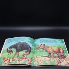 Prehistoric Animals By Peter Zallinger Childrens Book Random House Vintage 1978