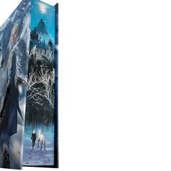 Dire Bound Fairyloot SIGNED Exclusive Edition Sable Sorensen (NEW)