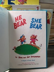 Berenstain Bears Lot 8+ Books by Stan & Jan Berenstain – Hardcover Children’s Bo