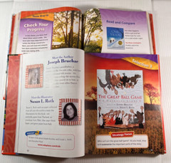 HM Reading: Adventures 2.1 Delights 2.2 with new workbooks 2005 0618424547
