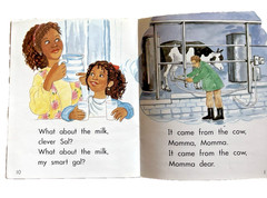 The Wright Group Story Box Emergent Books 21 Readers Joy Cowley Levels E F G H I