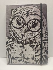 Journal 240 Page Blank Writing Pages Gray Owl With Eyeglasses 5.5″ Wide 8.5″ Tal