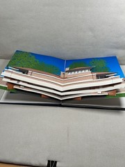 Frank Lloyd Wright in Pop-Up by Iain Thomson (2002, Book, Other)