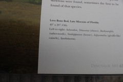 Dinosaur art I & II World’s greatest paleoart by Steve White