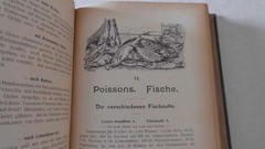 Kochkunst-Führer Handbuch der modernen Küche von A. Escoffier 1904 (- Kochbuch k