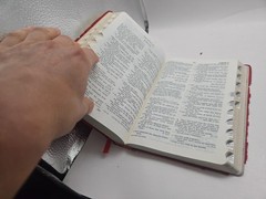 Holy Bible Concordance RSV Holman tabbed french morocco leather 1962