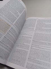 ESV Student Study Bible TruTone Chestnut 2011 Crossway