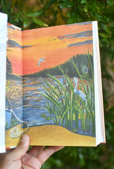 Where the Crawdads Sing by Delia Owens 1st Edition 1st Printing