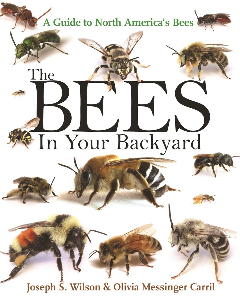The Bees in Your Backyard: A Guide to North America’s Bees