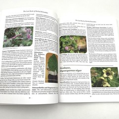 The Lost Book of Herbal Remedies Nicole Apelian, Ph.D and Claude Davis 2020 VG